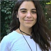 Clases de yoga para principiantes